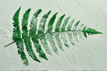 Wall Mural - A single green fern leaf sits on a white surface, providing a pop of natural color and texture