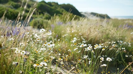 Wall Mural - serene coastal dune garden with native beach grasses and wildflowers under a blue sky