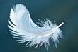© Asaad - a solitary feather floating on a gentle breeze, symbolizing lightness and freedom