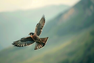 Poster - A bird soars through the air with distant mountains as a backdrop