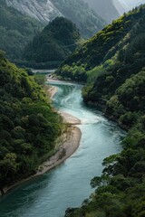 Poster - A serene and peaceful scene of a river winding its way through a dense and vibrant green forest
