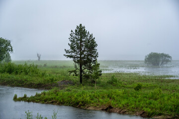 Wall Mural - thick morning fog on the lake against the backdrop of mountains landscape on Lake Teletskoye