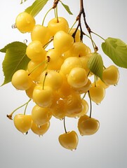 Wall Mural - yellow cherries flying, falling in the air. juicy garden berries froze in flight. levitation.