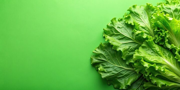 Fresh lettuce leaves with a vibrant green background, top view , healthy, organic, salad, texture, diet, natural, bright