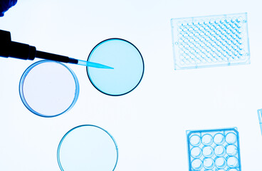 Canvas Print - top view of a laboratory bench for microbiological research