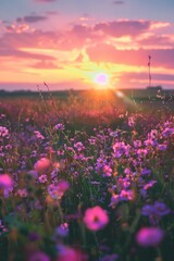 Poster - purple flowers sunset