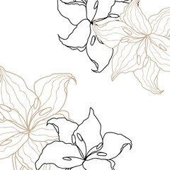 Wall Mural - Lillie's line art flower banner for wedding card or invitations. Hand drawn vector illustration template.