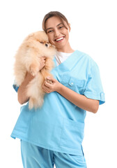 Sticker - Female veterinarian with cute Pomeranian dog on white background