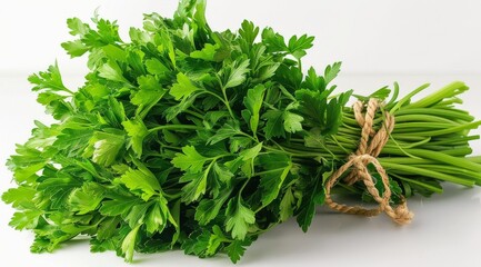 Wall Mural - Fresh Parsley Bunch Tied With Twine on White Background