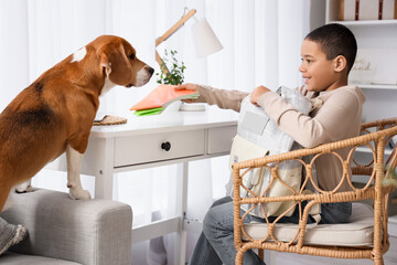 Wall Mural - Little African-American boy with school backpack and cute beagle dog at home