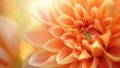 © GenBy - Close-up of a beautiful orange dahlia flower in full bloom, with soft petals and warm sunlight creating a captivating, serene atmosphere.