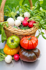 Sticker - Bio gardening, organic harvest of fresh vegetables, tomatoes, cucumbers, white and red radish roots vegetables in wicked basket and green grass on background