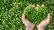 © PSCL RDL - human hands holding green heart shaped grass, eco green nature resource and sustainable energy concept