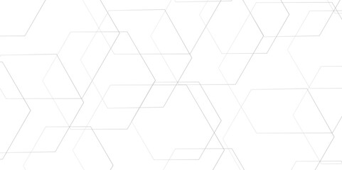 Abstract minimal geometric white and gray light background design. Vector illustration of hexagons pattern. luxury white pattern geometric mesh cell texture.  Modern pattern elegant gray line template
