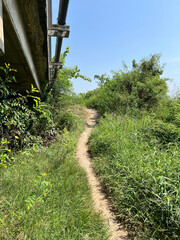 Canvas Print - way in the country thailand