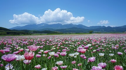 Wall Mural - Vast expanse of flower gardens