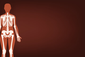 Anatomy part: silhouette bones in human body