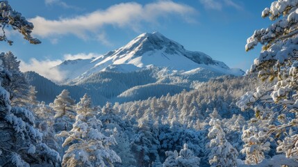 Poster - Snow Covered Mountain Peak 