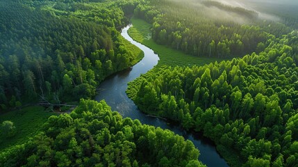 Poster - A breathtaking aerial view of a lush green forest with a winding river flowing through it, creating a serene and picturesque landscape.