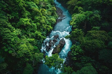 Poster - Aerial view of a lush green forest with a crystal clear river cascading through rocks, surrounded by dense foliage and vibrant greenery.