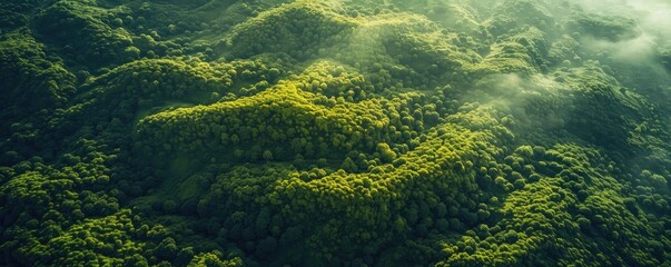 Poster - Aerial view of lush green forested mountain range with sunlight and mist, showcasing nature's beauty and tranquility in a breathtaking landscape.