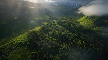 Poster - A breathtaking aerial view of lush green mountains bathed in sunlight, with clouds partially covering the peaks in the background.
