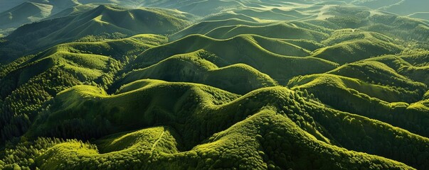 Poster - Aerial view of lush green rolling hills and valleys bathed in sunlight, creating a stunning landscape of natural beauty.