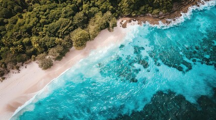 Poster - A stunning aerial view of a tropical beach with clear blue waters and lush greenery, capturing the essence of paradise and tranquil escape.