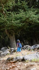 Wall Mural - vertical shot. summer camp. Traveling child. trekking with a backpack. a boy walks along a mountain road. hiking and active healthy lifestyle. adventure holidays with children.