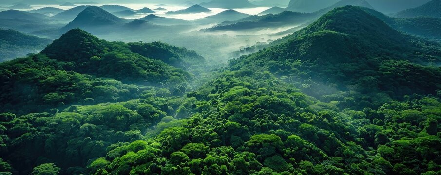 Aerial view of lush green hills covered in dense forest with mist rolling over the landscape, creating a serene and tranquil scenery.