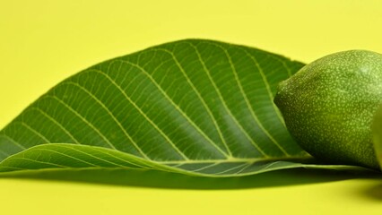 Canvas Print - green walnut closeup