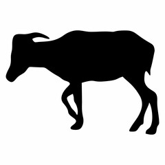 Wall Mural - silhouette or illustration of a goat or sheep