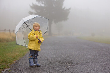 Sticker - Cute blond toddler child, boy, playing in the rain with umbrella on a foggy autumn day