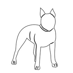 Wall Mural - dog stands outline sketch