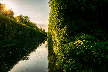 Wall Mural - Pond in an old green park	