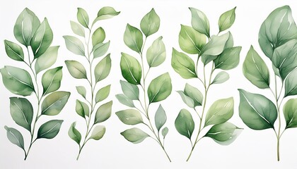 Naklejka na meble Beautiful watercolor illustration featuring a variety of green leaves in different shapes and sizes. The delicate brushstrokes and soft shades of green create a serene and natural aesthetic. 