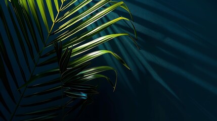 Wall Mural - Light and shadow on palm leaf dark blue nature background : Generative AI