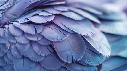 Poster - blue feather pigeon macro photo texture or background : Generative AI