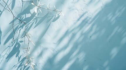Poster - Minimalistic abstract gentle light blue background for product presentation with light and intricate shadow from tree branches on wall : Generative AI