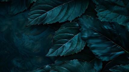 Aufkleber - Dark green leaf texture Natural green leaves using as nature background wallpaper or tropical leaf cover page : Generative AI