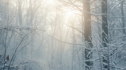 Wall Mural - Hushed tranquility of snow-covered forest in soft light background