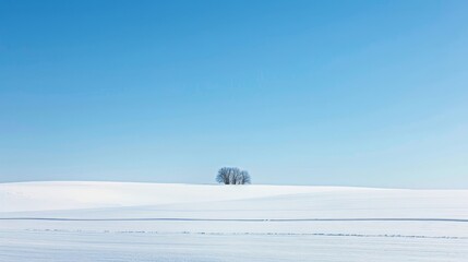 Wall Mural - Stark lines capture purity of snowy winter field background