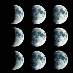 Wall Mural - phases of the moon: detailed lunar cycle from crescent to full moon on black background