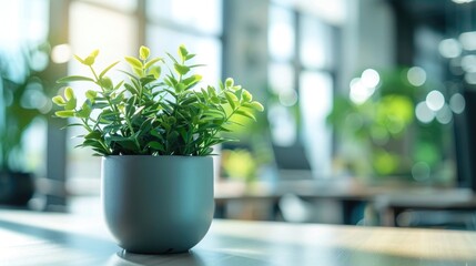 Wall Mural - Closeup of plant pot on table in green office workspace atmosphere, green, eco-friendly, sustainable, plant, indoor, office, workspace, environment, nature, closeup, table, pot, desk, blurred