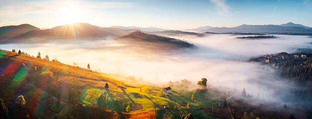 Wall Mural - Magical morning valley in dense fog from a bird's eye view. Carpathian mountains, Ukraine, Europe.