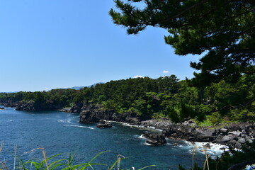 Canvas Print - 城ヶ崎海岸