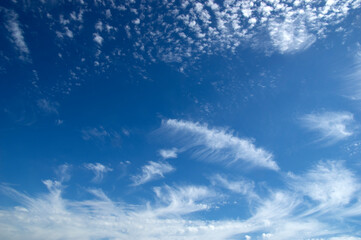 Wall Mural - White fluffy clouds in the blue sky.