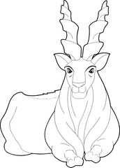 Poster - Outlined Markhor Animal Cartoon Character Laying Down. Vector Hand Drawn Illustration Isolated On Transparent Background