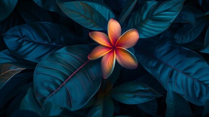 Aufkleber - colorful flower on dark tropical foliage nature background : Generative AI