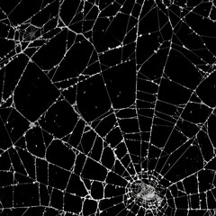 Close-up of spider web with intricate patterns